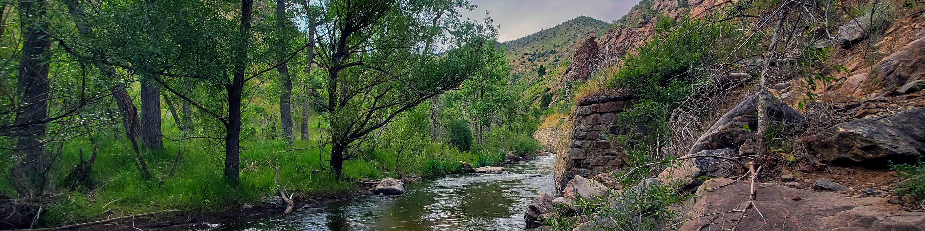 Bear Creek Early 2024 Flies On The Line Bear Creek River Report