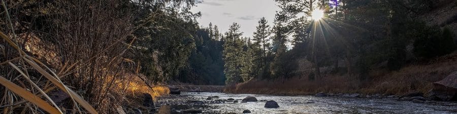 A serene landscape featuring the South Platte River flowing through a wooded area, with sunlight streaming through the trees, creating reflections on the water.