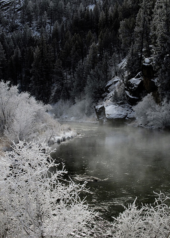 A winter landscape of Eleven Mile Canyon featuring a river surrounded by frosty trees and mist rising from the water.