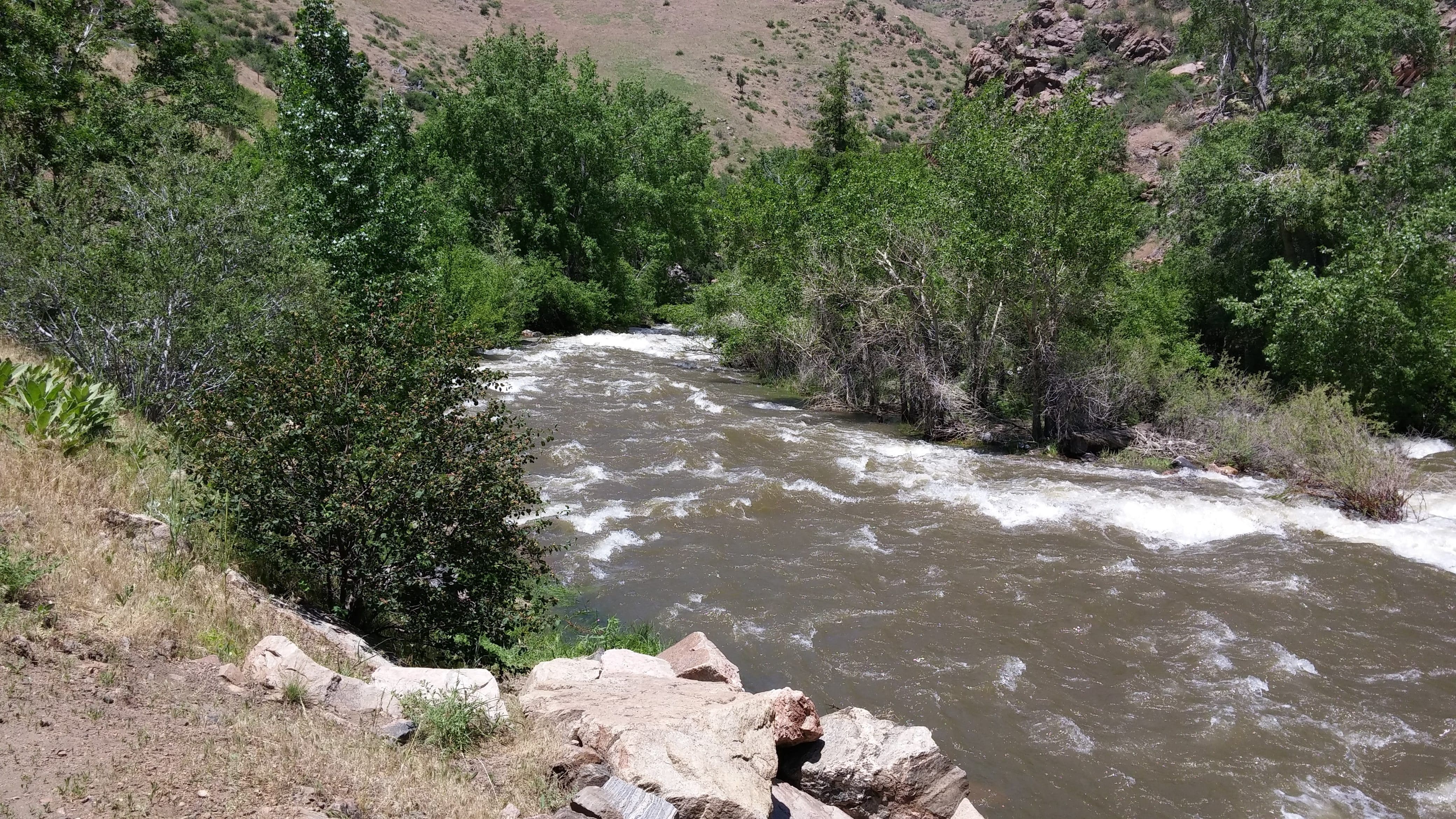 A flowing river surrounded by lush green foliage and rocky terrain in Waterton Canyon.