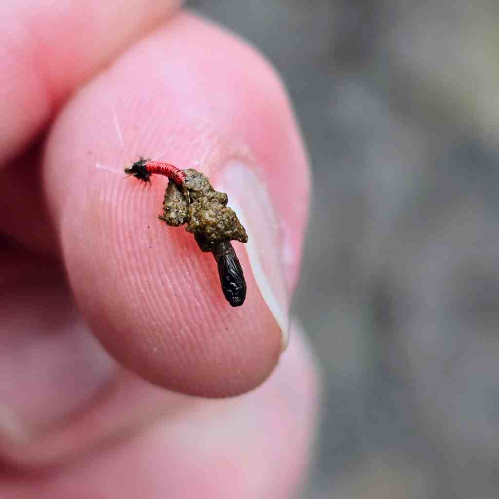 A close-up view of a fly fishing lure, featuring a red body and a dark tail, being held between fingers.