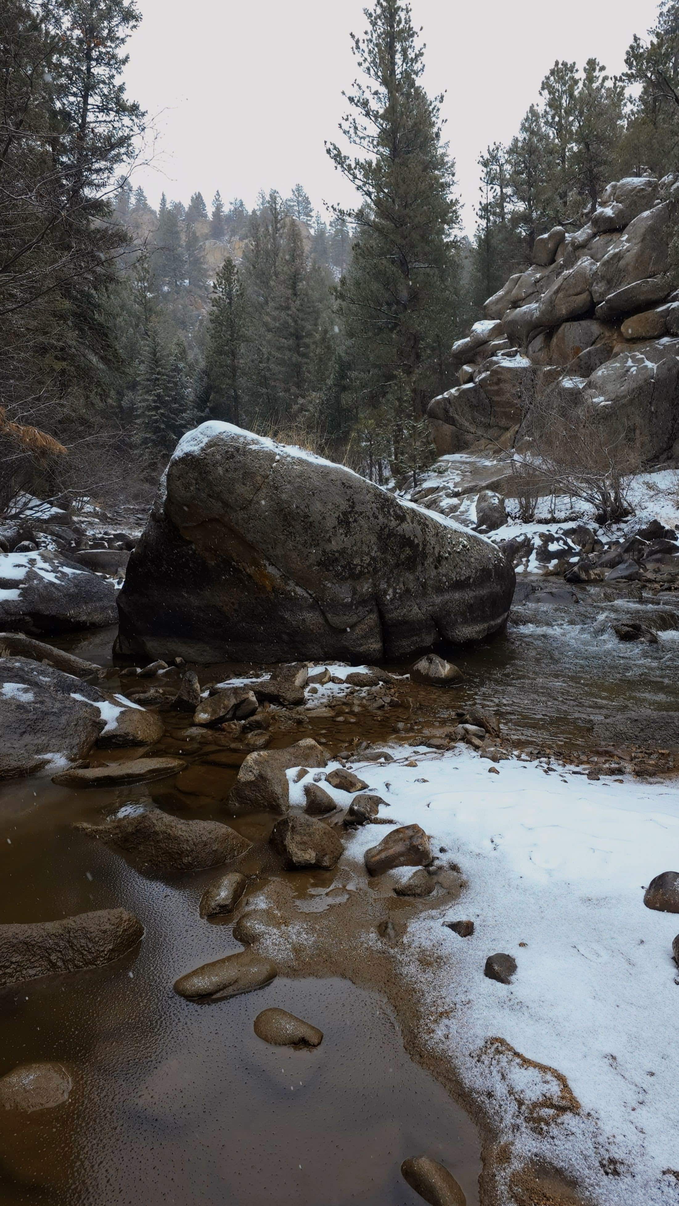 A rocky creek bed in a forest during winter, featuring a large boulder and patches of snow on the ground, surrounded by tall pine trees.