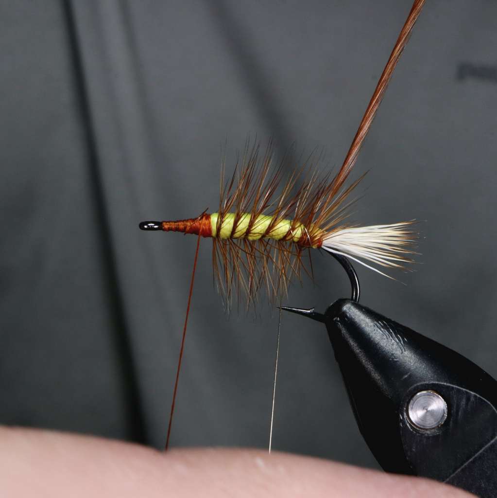 An unfinished dry fly pattern, featuring a light green body wrapped with brown hackle and a white elk hair tail, secured on a fly-tying tool.