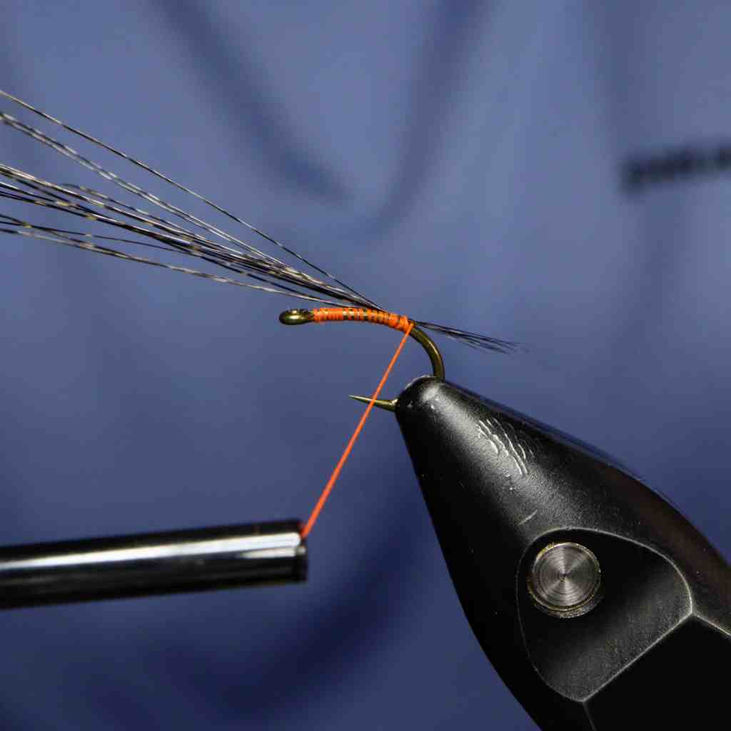 Close-up of a fly-tying setup, featuring a hook with orange thread and Coq De Leon fibers being tied, against a blue background.