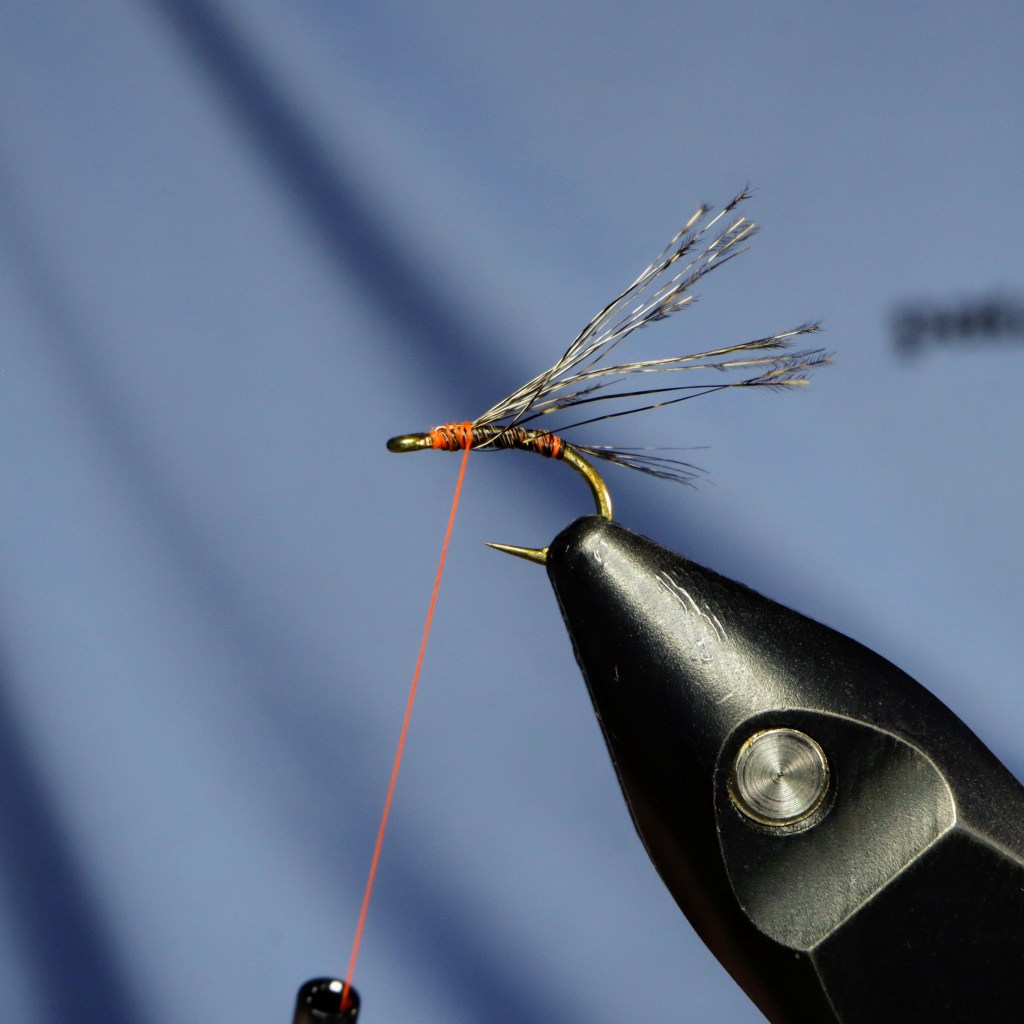 Close-up of a hook being tied with orange thread and CDL fibers for a fly pattern.