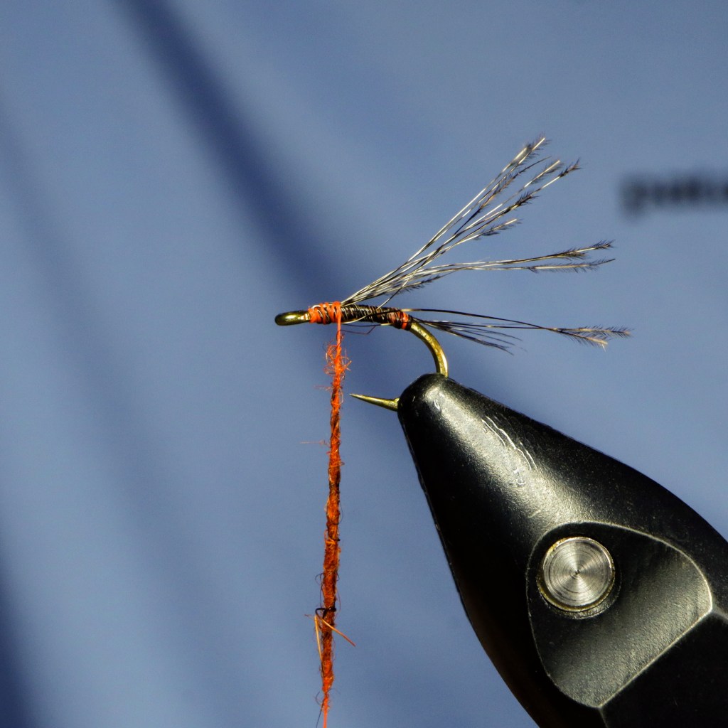 A close-up of a tied fishing fly on a hook, featuring orange thread and Coq De Leon fibers as the tail, with a focused view of the tying process.