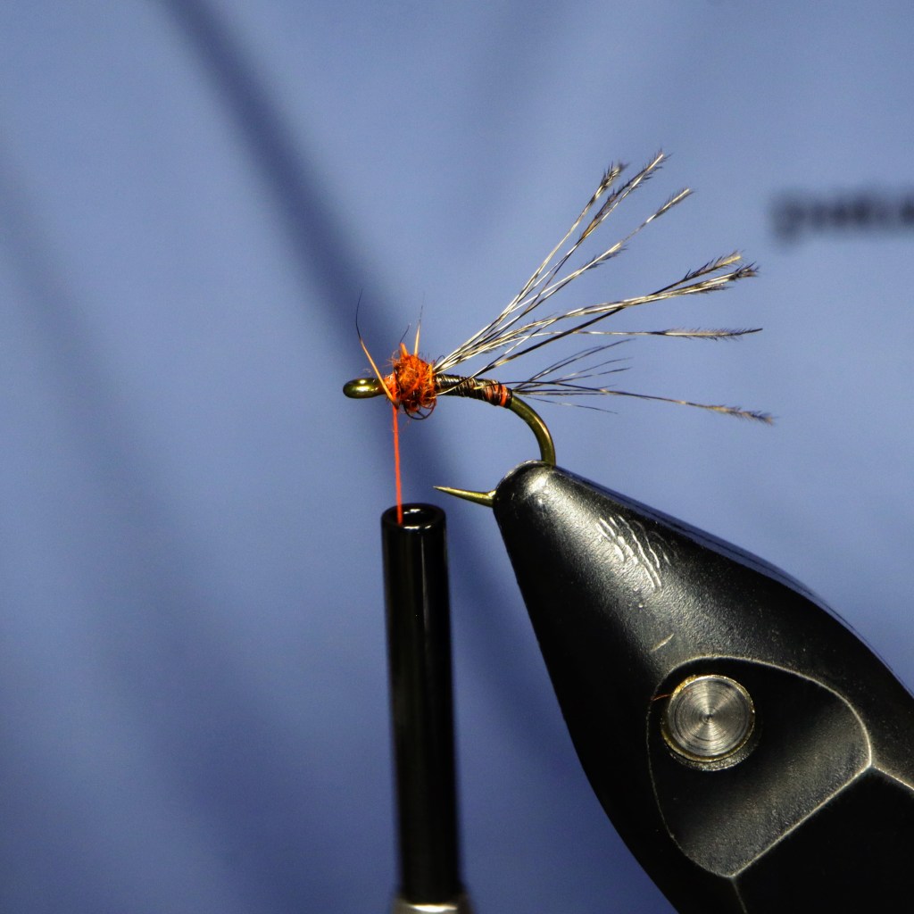 A close-up image of a tied fishing fly, showcasing an orange thread base with Coq De Leon fibers and a scud-style hook, resting on a vise against a blue background.