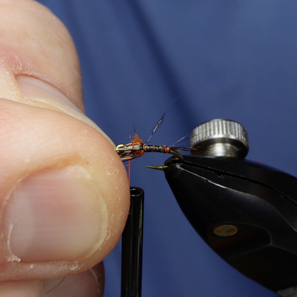 Close-up of a person's hand tying a fly on a hook using fluorescent thread and Coq De Leon fibers.