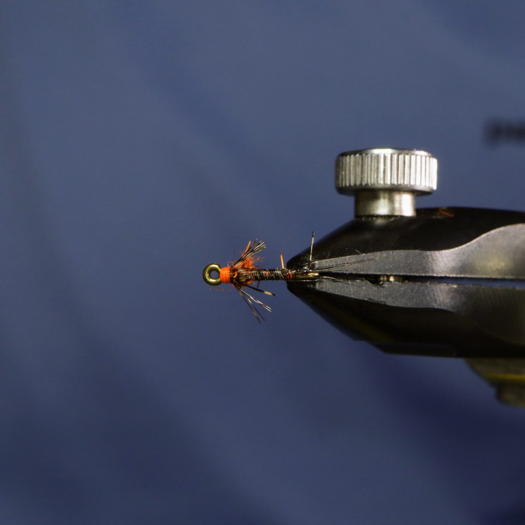A close-up view of a tied fishing fly, showcasing a fluorescent orange thread and Coq de Leon fibers, positioned on a vise against a blue background.