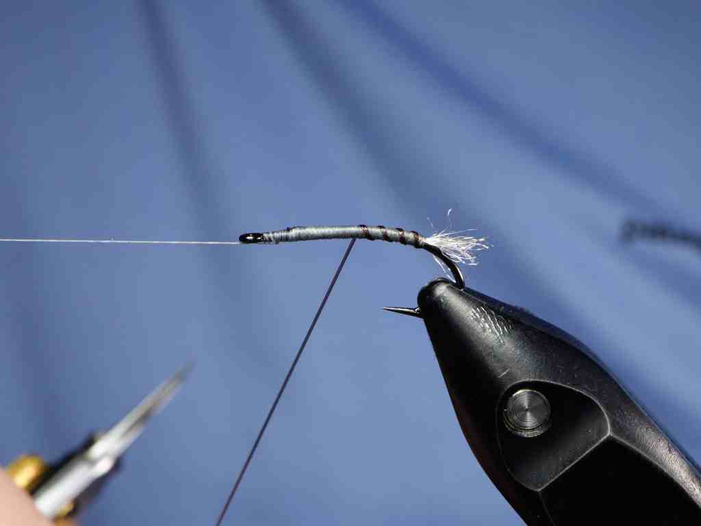 A close-up image of a fly tying process showing a hook in a vise with thread wrapped around the shank and a feather tail shuck positioned at the rear.