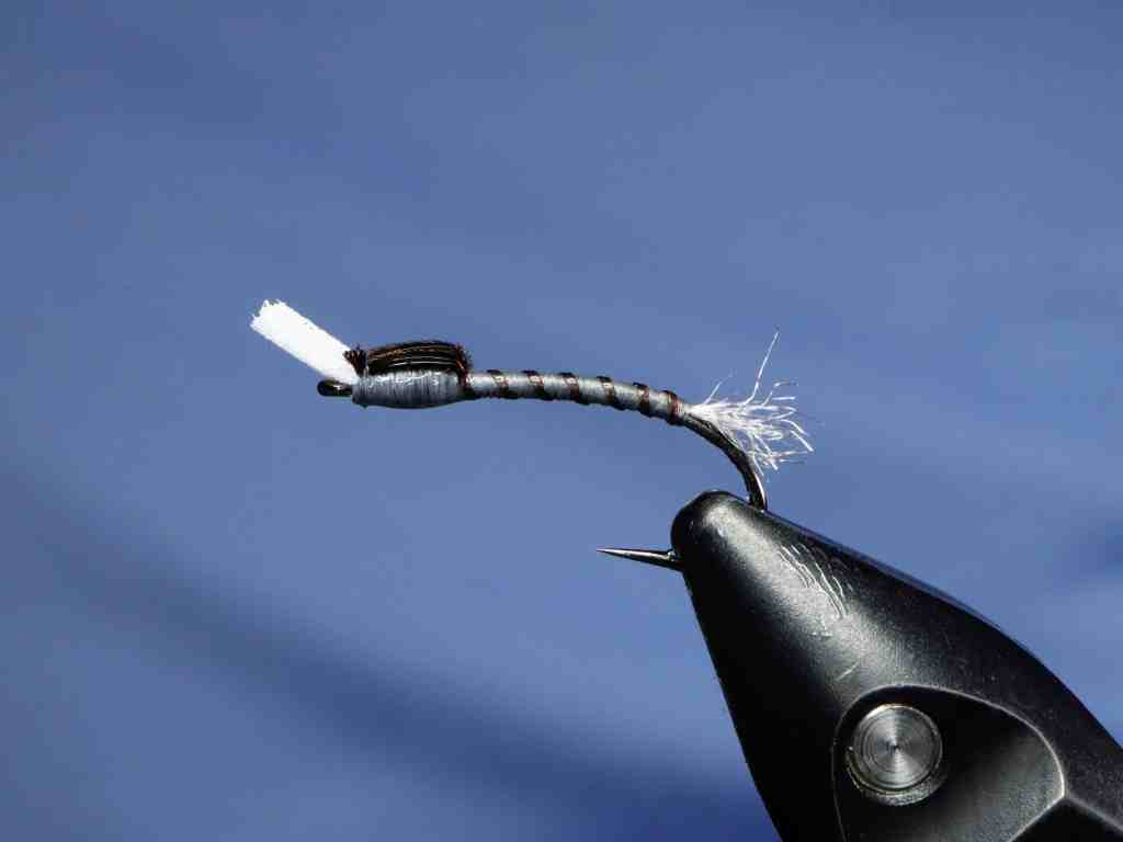 Close-up of a tied fly featuring a simple ribbed body, Pheasant tail thorax, and foam tail, designed for Stillwater fishing.